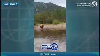 دب يفاجئ عائلة