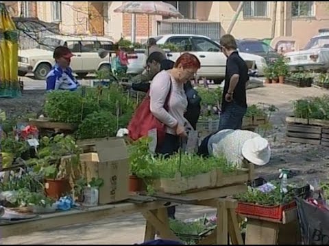 Что пользовалось спросом у садоводов в 2008 году. Архив ТВ2