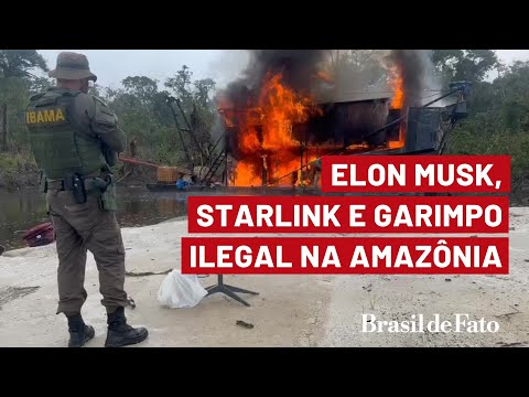 Internet de Elon Musk é usada em garimpos ilegais na Amazônia
