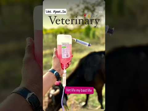 animal lover || animal tretment || feeling || @VetSurgery @VetpetandCattle @Vetdrtaji