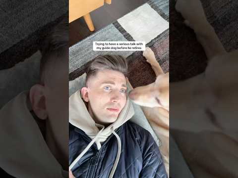 Trying to have a serious talk with my guide dog #shorts