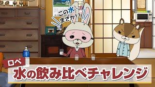 紙兎ロペ「飲み比べ」編