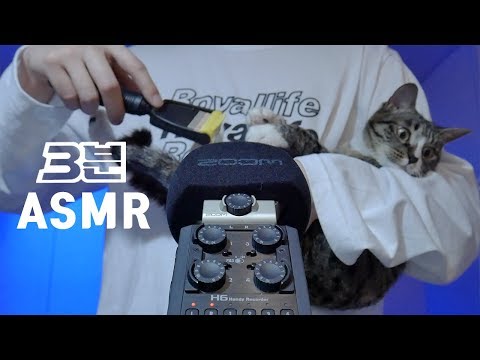 [3분ASMR] 똥냥이 센과함께