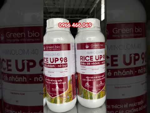 Phân bón hữu cơ sinh học Rice Up 98, giúp để nhánh, nở bụi, cây trồng phát triển