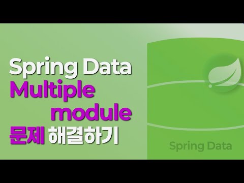 Multiple Spring Data modules 문제 해결하기