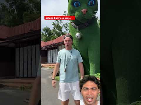 patung kucing raksasa⁉️ #shorts