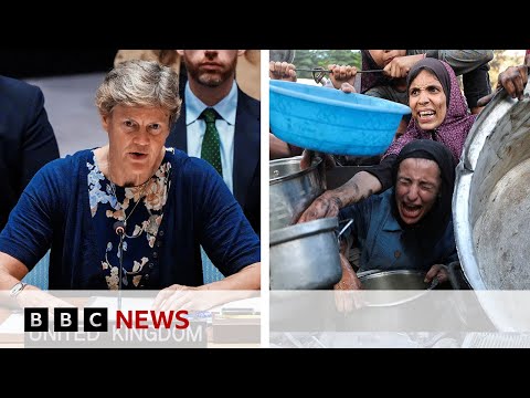 Israeli aid system ‘inhumane, ineffective, and dangerous', says UK representative to UN | BBC News
