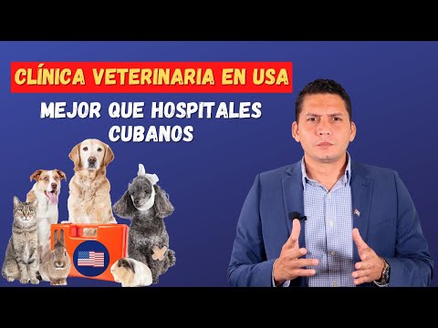 Cli?nica veterinaria en USA mejor que Hospitales cubanos.