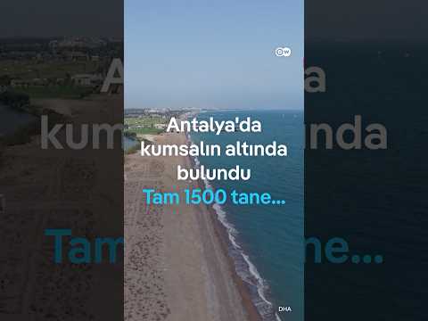 Türkiye'nin en güzel sahilinde nasıl lağım çukurları oluştu?