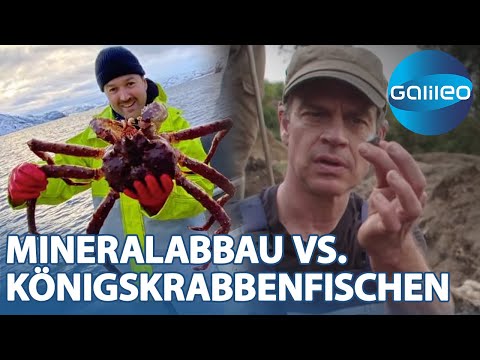 Harro vs. Martin: Mineralabbau im Kongo & Königskrabbenfischen in Norwegen