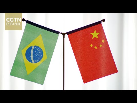Los debates se centran en estrategias para mejorar coordinación y cooperación entre China y Brasil
