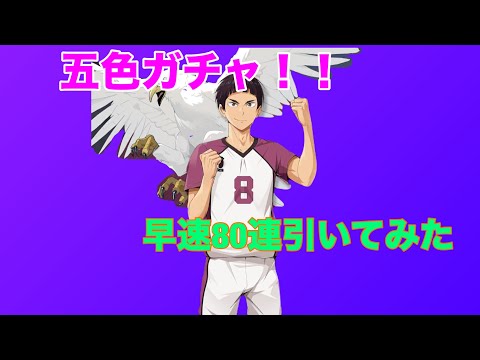 【ハイフラ】五色ガチャとりあえず80連引いてみた‼️