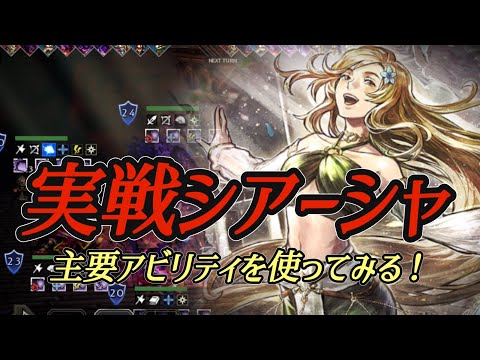 #206【オクトラ大陸の覇者】先制×シールドダメアップが面白い