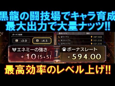 【オクトラ大陸の覇者】最強のレベル上げ!黒龍の闘技場を最大出力で攻略すると、大量のナッツが獲得できます!現状では最高効率のレベル上げ!