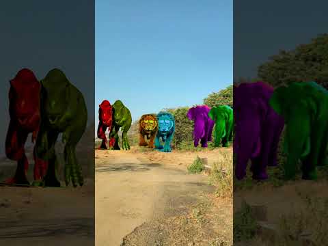 Big dinosaur Chase t-rex chasing part-248#shorts #youtube #suprman #dinner