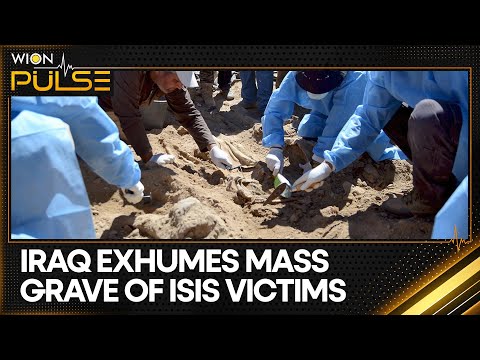 Skulls Unearthed In Iraq As Excavation Enters 1st Phase | DNA Recovery Hindered | WION Pulse