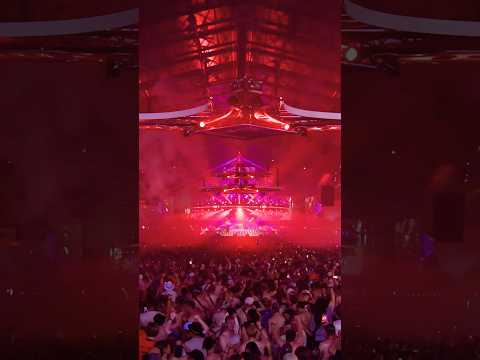 The first chapter of our journey has begun, the Tribe reunited for The Gathering with D-Sturb.