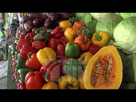 Restos de pesticidas en alimentos afectan nuestra salud