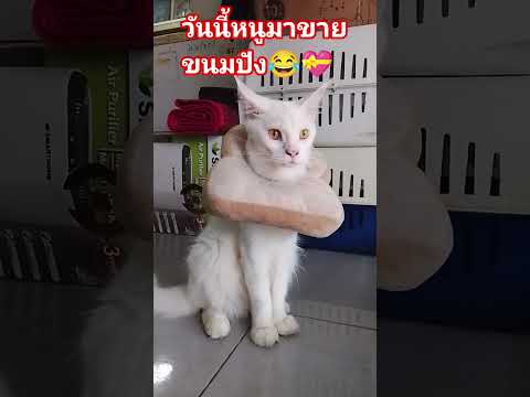 #โนนิบอกใครก็ได้ช่วยเอาขนมออกให้ที😂😂💝