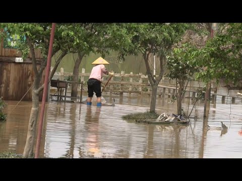 Habitantes del sur de China intentan salvar sus bienes ante el peligro de nuevas inundaciones | AFP