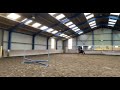 Dressuurpaard Sweet allround mare for sale