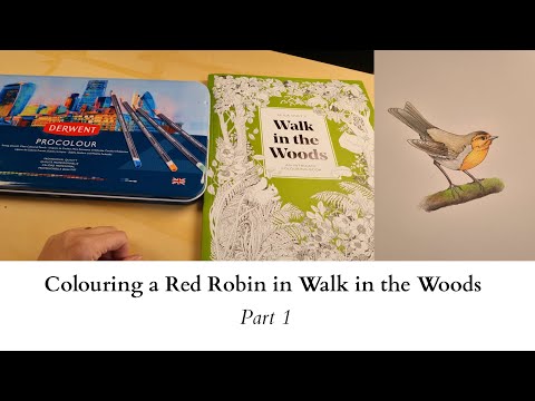 Colouring a Red Robin in Walk in the Woods - Derwent Procolour
