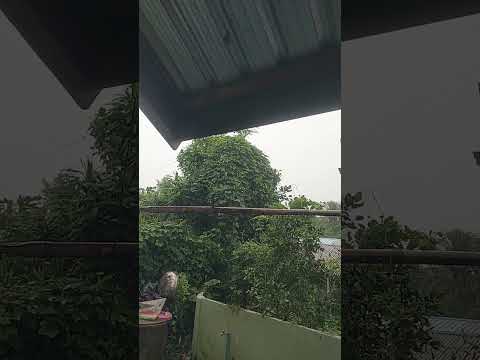 พายุฝนตกไม่หยุด