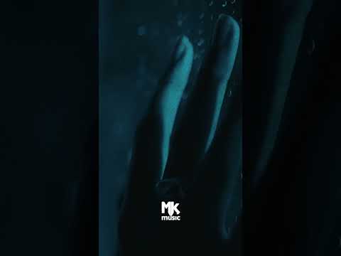 Aproveite o feriadão para conferir 