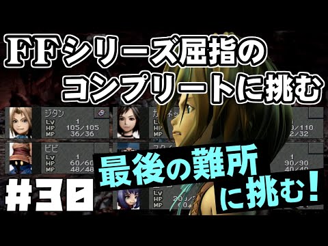 【FF9】最強の召喚士エーコが誰も見たことがない究極のデータを目指します（第30話～最後の難所）