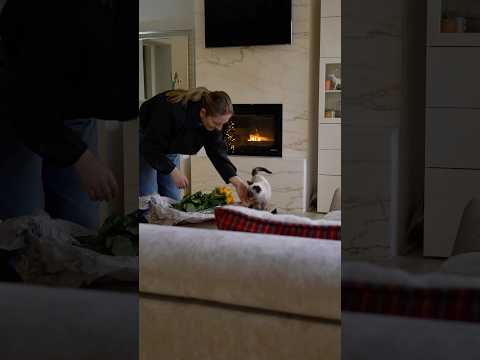 Niente ti può fermare Ordine nella vita #idee #organizzazione #soluzione