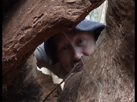 Cutting up the largest tree stump I've ever seen part 2 ep 63