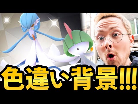 意外過ぎる100と色違い！？復刻ラルトス！スペシャル背景色違い！！！【ポケモンGO】