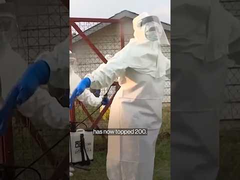 Ebola Deaths Top 200 in Africa as Officials Warn of Wider Risk