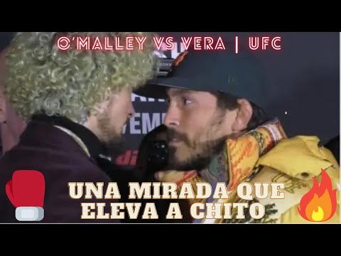 CHITO VERA VS SEAN O'MALLEY, un cara a cara que vale oro