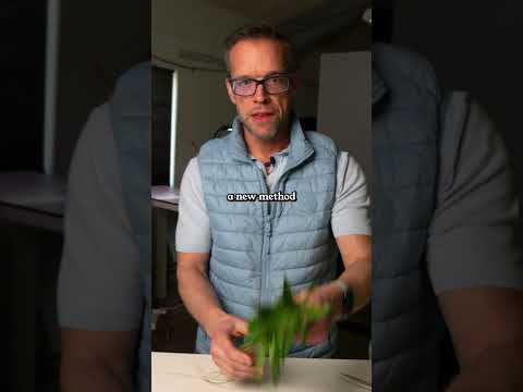 Effortless Handling, No Fuss No soaking. No teasing out stone wool.
Just take the plant and plant it — that’s how the Plant C