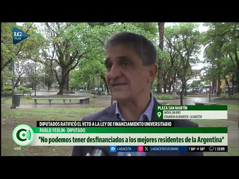 Hay muchos peronistas que no estamos de acuerdo con la política de Milei, declaró Pablo Yedlin