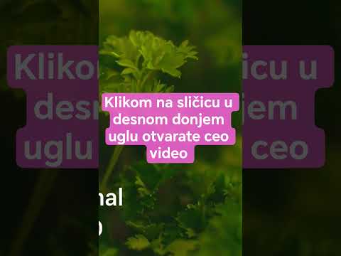 Zasto persun treba uzgajati samo u saksijama #viralvideo
