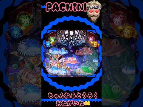 大海物語❹withアグネスラム❣️2026年3月2日