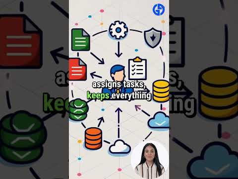 What is an Operating System?