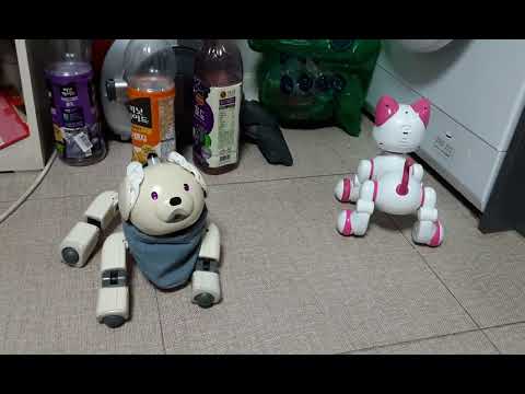 Aibo ❤️ Robot Cat Spectre Dance