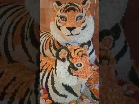 😱🐯Tiger🐅❤️#shorts#ytshorts#youtubeshorts#viral#reels#shortsfeed#explore#trending#song#explore#funny