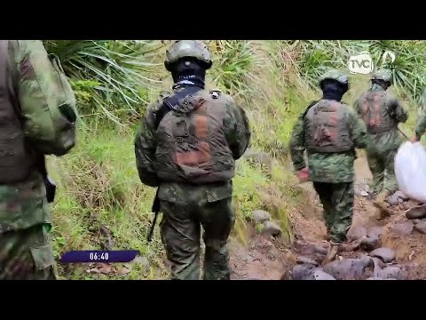 Tulcán: Fuerzas Armadas destruyeron un laboratorio de droga