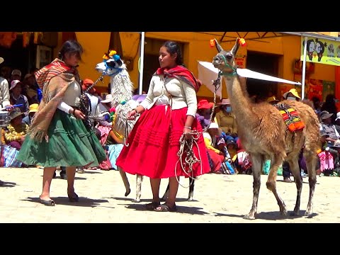 Linda danza ORIGINARIA LLAMERADA de la U. E. San Salvador