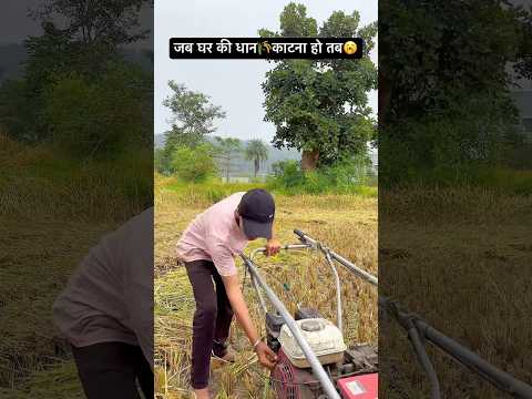 जब घर की धान🌾काटना हो तब😂#dhan#funny#mems#like#share#kattai#viral#trending#comedy#khet#ghar#wait