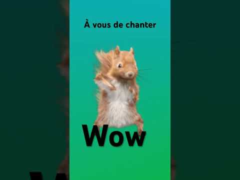 Ça c’est mon écureuil comme il voit des friandises pour chiens