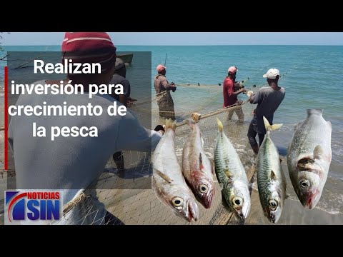 #EmisiónEstelarSIN: Pesca, Hospital y vaguada