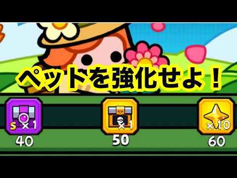異獣ペット強化のチャンス！