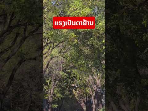 ແຮງເກິນ ລົມແຮງ ຫນາວແຮງ ເສື້ອຈັກໂຕກະເອົາບໍ່ຢູ່