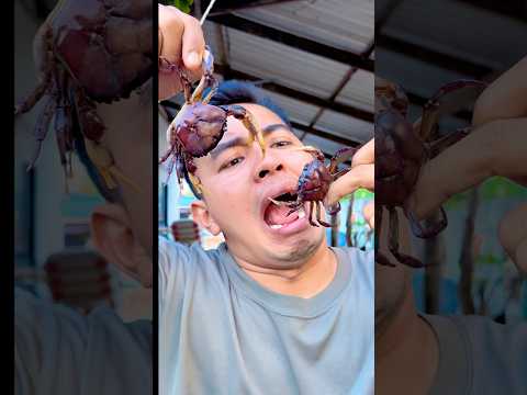 Omg, 2 crabs,#life #nature #cute #lifeisbutadream