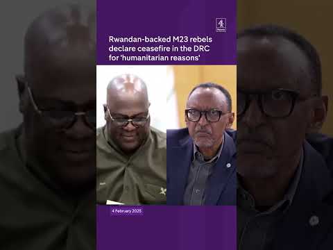 M23 rebels declare DRC ceasefire